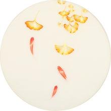 Load image into Gallery viewer, DIY Silk Embroidery kit Ginkgo Leaves & Fishes 20cm