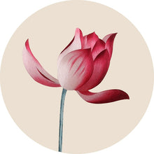 Load image into Gallery viewer, DIY Silk Embroidery kit Red Lotus 20cm