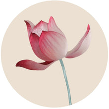 Load image into Gallery viewer, DIY Silk Embroidery kit Red Lotus 20cm