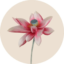 Load image into Gallery viewer, DIY Silk Embroidery kit Red Lotus 20cm