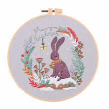 Load image into Gallery viewer, Christmas Snow Globes DIY Hand Embroidery Kit 20cm