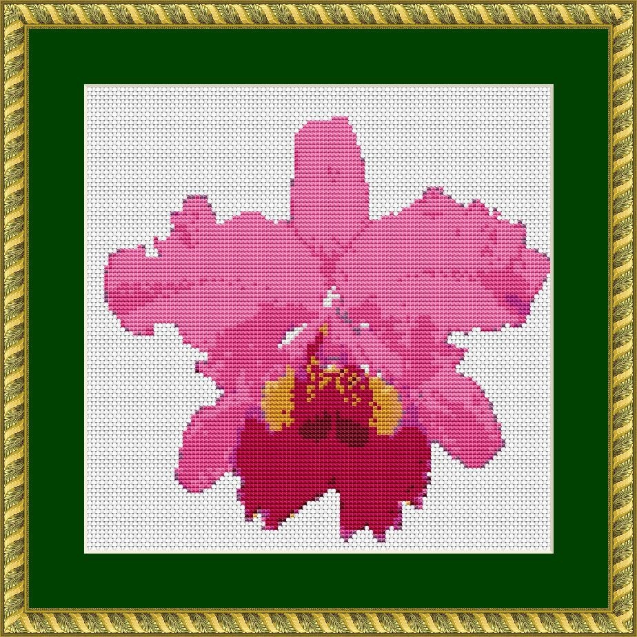 Patrón de punto de cruz de orquídea rosa, bordado de flores modernas, –  MiuEmbroidery
