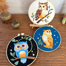 Load image into Gallery viewer, Cute Owl Bird Hand Embroidery DIY Kit 20cm
