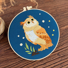 Load image into Gallery viewer, Cute Owl Bird Hand Embroidery DIY Kit 20cm
