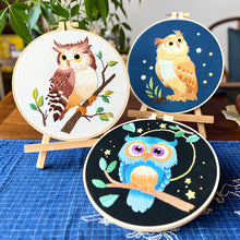 Load image into Gallery viewer, Cute Owl Bird Hand Embroidery DIY Kit 20cm
